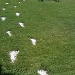 Agroturism Stara Stala