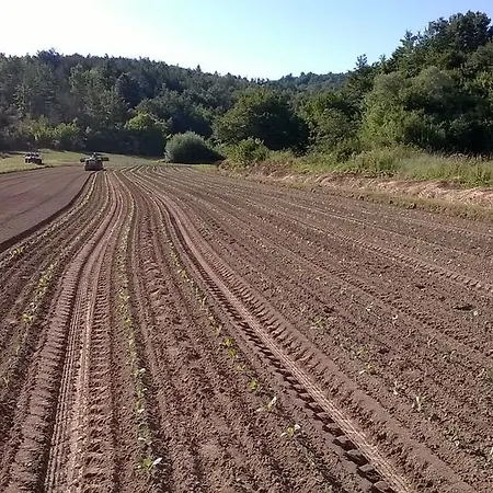 Guest house Agroturism Stara Stala Borut