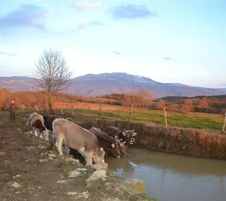 Agroturism Stara Stala 4*