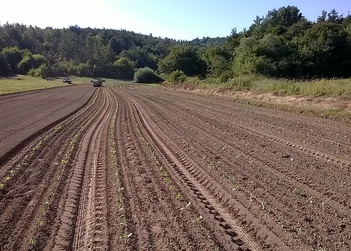 招待所 Agroturism Stara Stala Borut