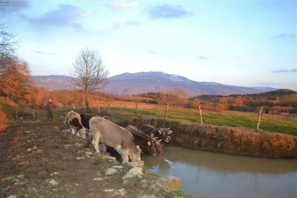 Agroturism Stara Stala 4*